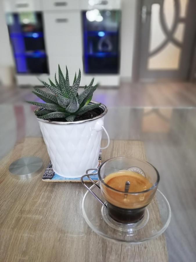 Apartment Ani Veliko Tărnovo Esterno foto